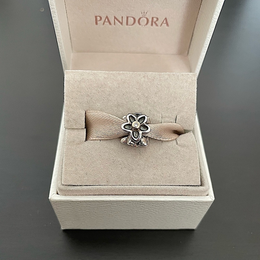 Pandora he loves me charm
